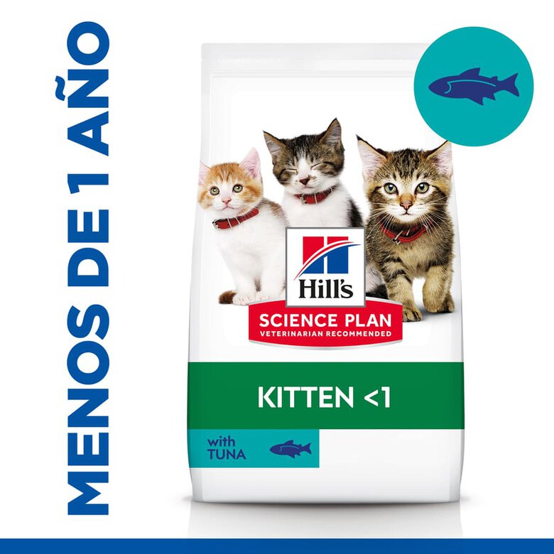 Hill's Science Plan Kitten Atún pienso, , large image number null